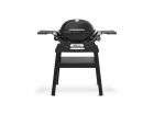 Weber Q 1200N Stand barbacoa de gas